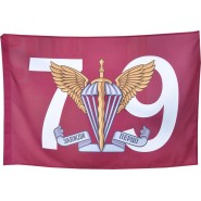Флаг ДШВ 79 бригада