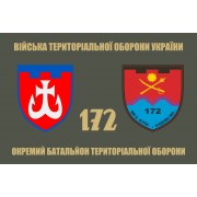 Прапор 172 окремий батальйон ТрО