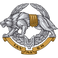 Прапори ССО Сили спеціальних операцій ЗСУ
