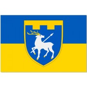 Прапор 123 Окрема Бригада ТрО Миколаїська область