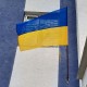 Флаг Украины флажная сетка