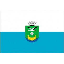 Прапор Дарницького району
