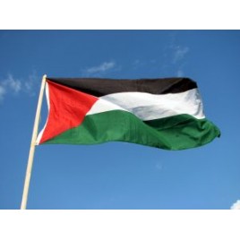 Прапор Палестини