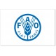 Прапор ФАО (продовольча і сільськогосподарська організація ООН)